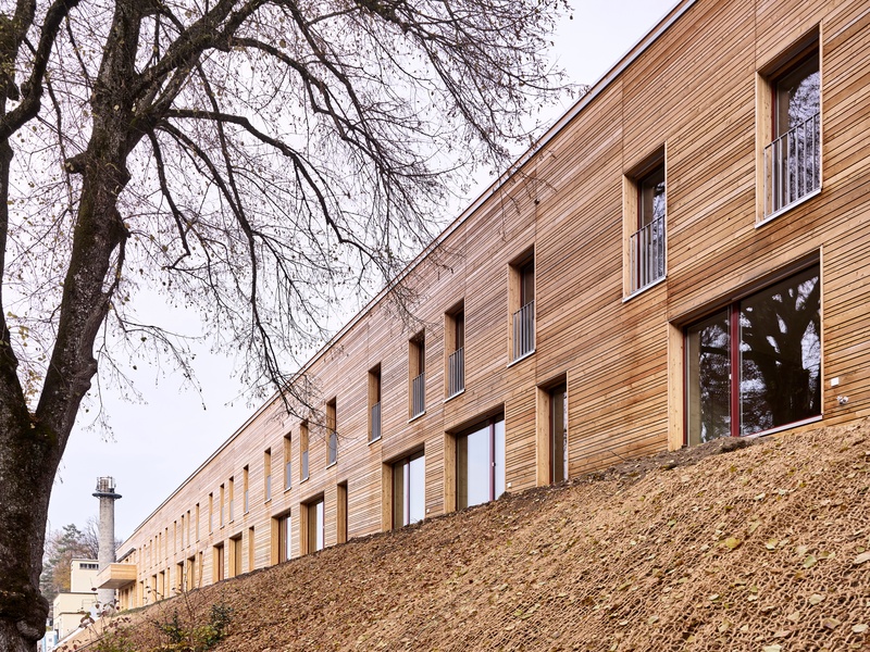 Wohnbaugenossenschaft, Bern, ViaFelsenau, wahliruefli, Fassade