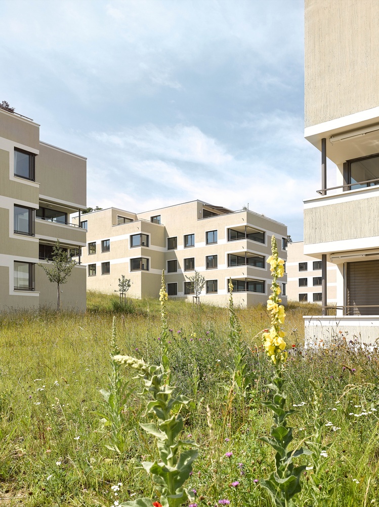 Neubau Wohnüberbauung Bellvuepark